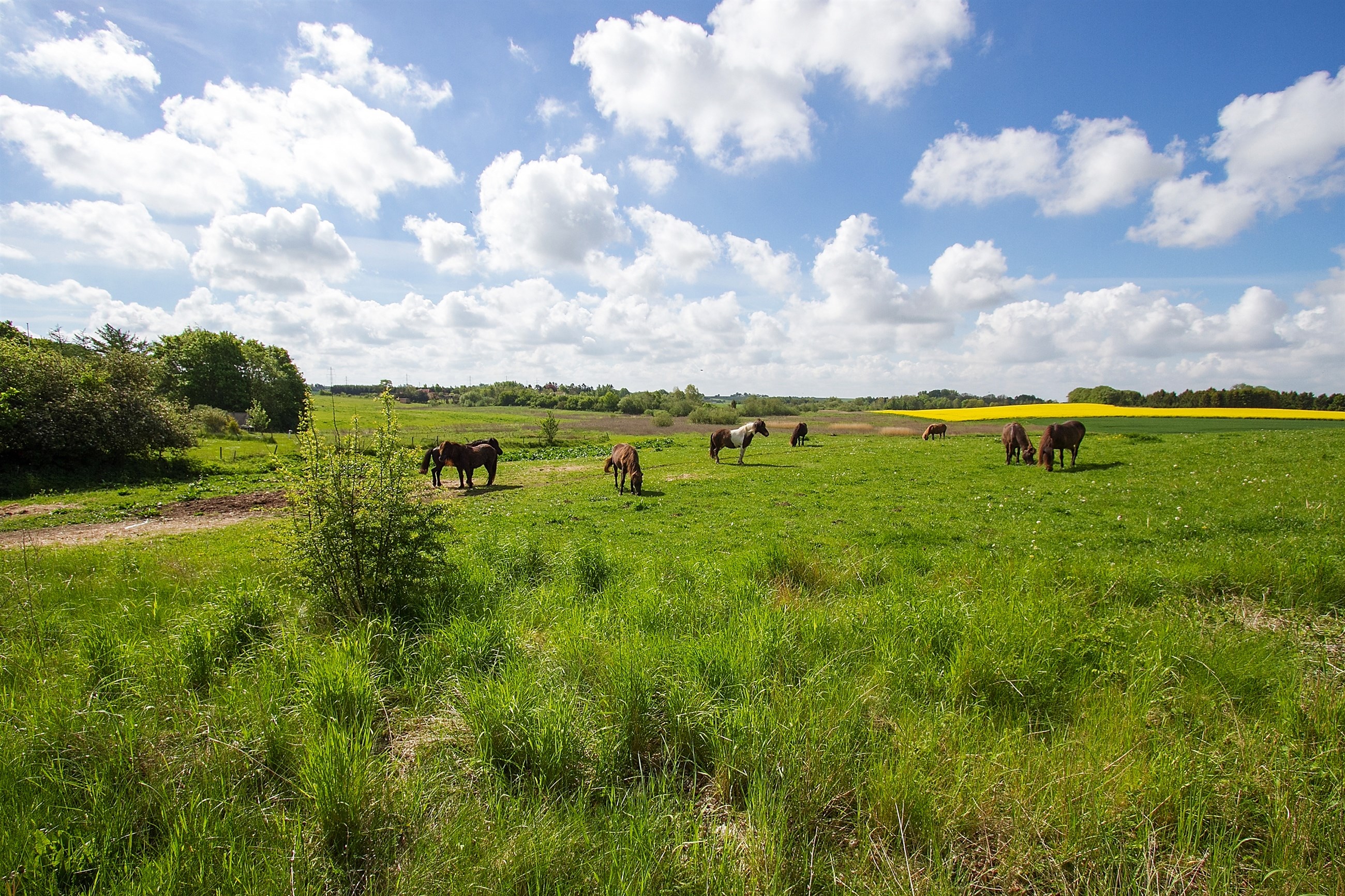 natur+omgivelser